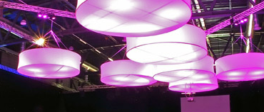 Basketball, Yoga, Volleyball, Soccer, Soccer Shots, Senior Exercise, Senior Balance and Strength, Pilates, Core, Strength, Pickleball, Cadence Sports Academy, Badminton, Wee Hoop, Futsal, Wolfpack Basketball, Alamo, Danville, San Ramon, Diablo, Dublin, Pleasanton, Walnut Creek, Lafayette, Orinda, Pleasant Hill, Concord, Moraga