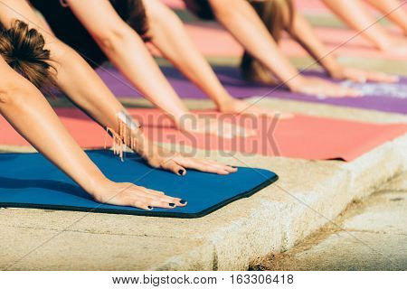 Basketball, Yoga, Volleyball, Soccer, Soccer Shots, Senior Exercise, Senior Balance and Strength, Pilates, Core, Strength, Pickleball, Cadence Sports Academy, Badminton, Wee Hoop, Futsal, Wolfpack Basketball, Alamo, Danville, San Ramon, Diablo, Dublin, Pleasanton, Walnut Creek, Lafayette, Orinda, Pleasant Hill, Concord, Moraga